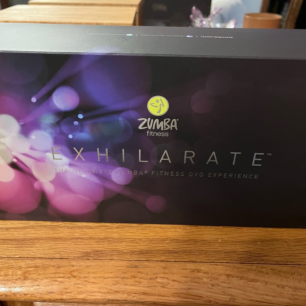 Zumba fitness exhilaration system